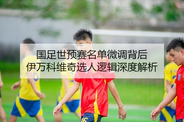 国足世预赛名单微调背后 伊万科维奇选人逻辑深度解析